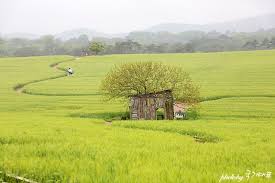 고창 학원농장 &ndash; &lsquo;폭싹 속았수다&rsquo; 촬영지 정보