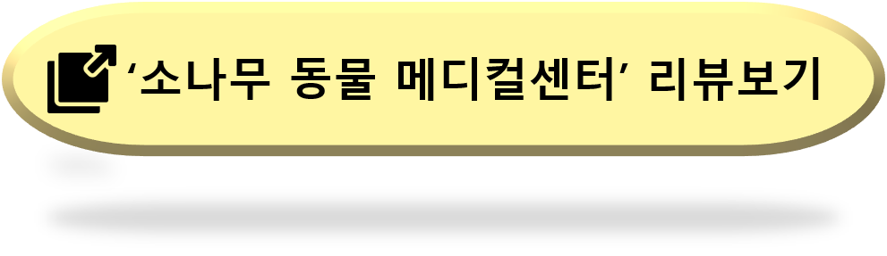 강아지-스케일링-치석제거