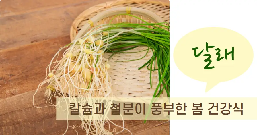 달래 – 칼슘과 철분이 풍부한 봄 건강식