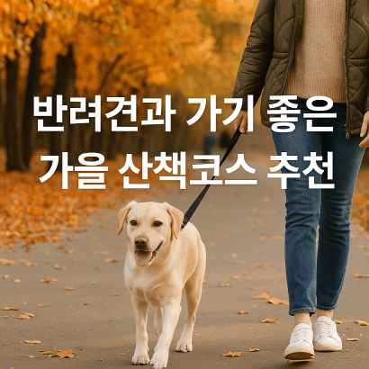 반려견과 가기 좋은 서울 가을 산책 코스
