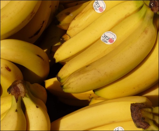 칼륨이 많은 음식 4