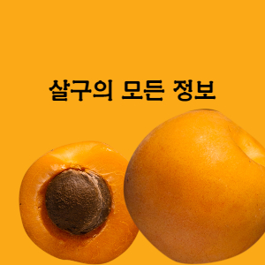 살구의 모든 정보
