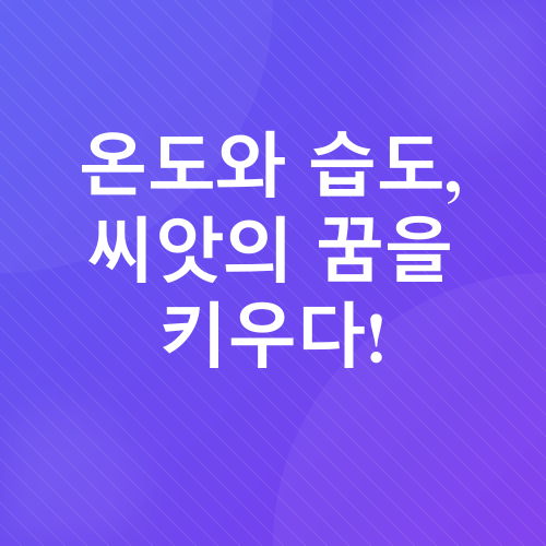 실내 가지 재배_2