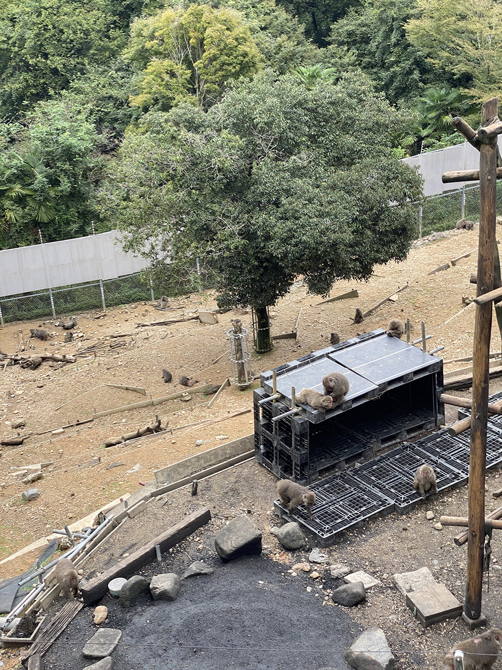 이누야마몽키센터