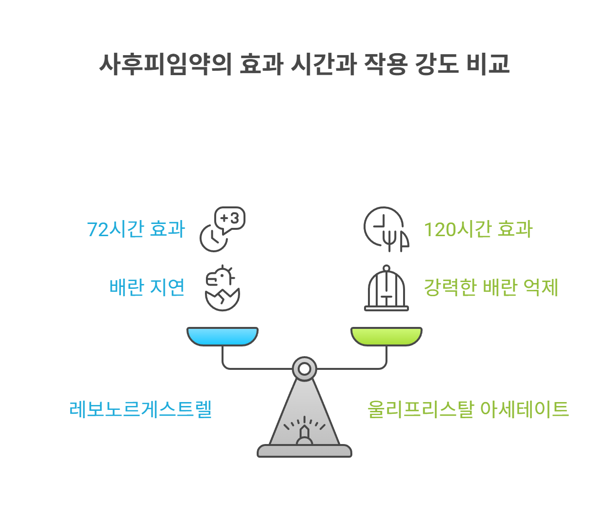 사후피임약의 원리와 작용 방식