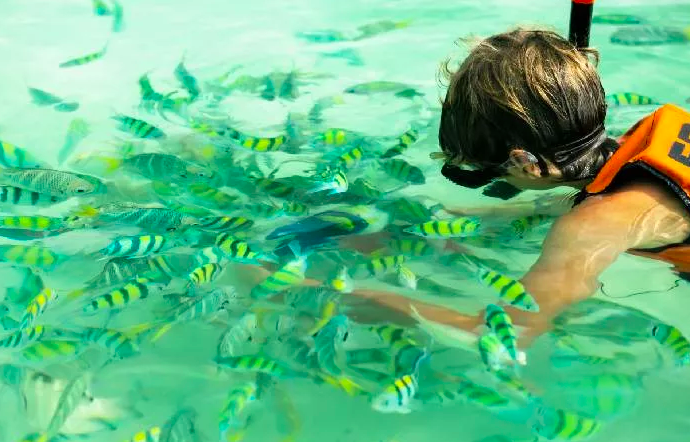 바나나 비치 투어