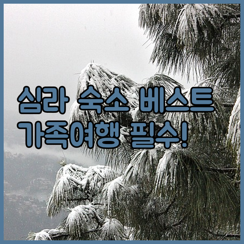 인도 심라 몰 로드 근처 숙소 추천 ..
