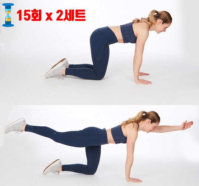 허리 안아픈 복근운동, 다이어트 피트니스 운동법, 건강, 팁줌 매일꿀정보