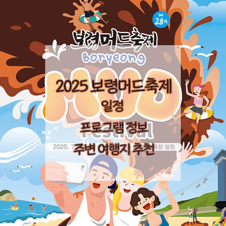 2025 보령머드축제