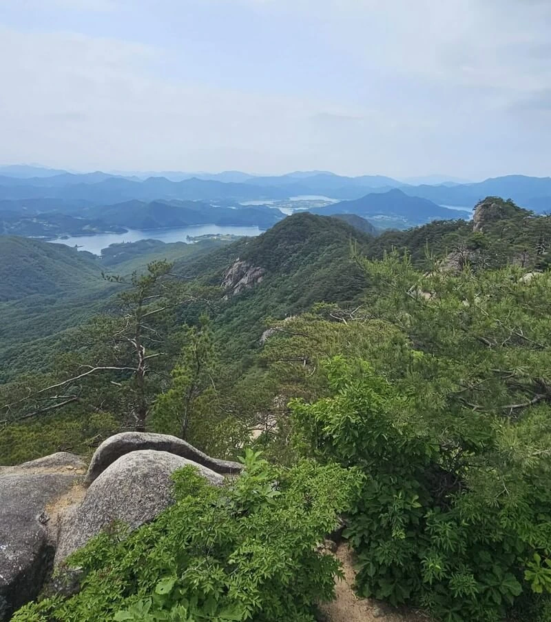 금수산 정상에서의 광활한 뷰