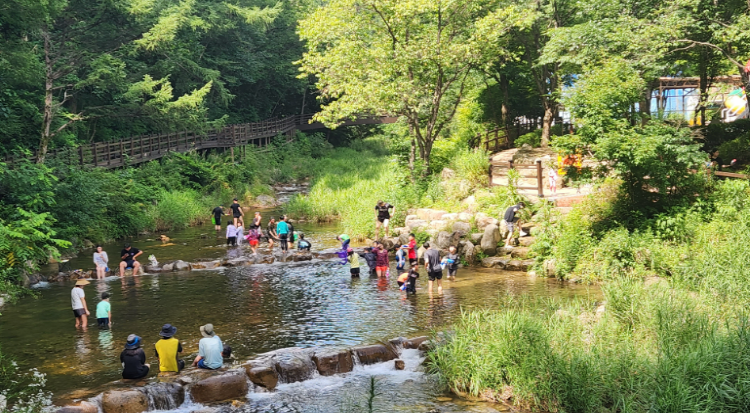 광치자연휴양림