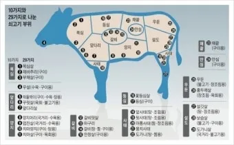소고기 부위별 가격 총정리 고기 살 땐 이거만 보면 되는 구매 가이드_17