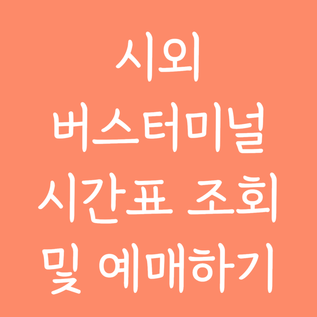 시외 버스터미널 시간표 조회 및 예매하기