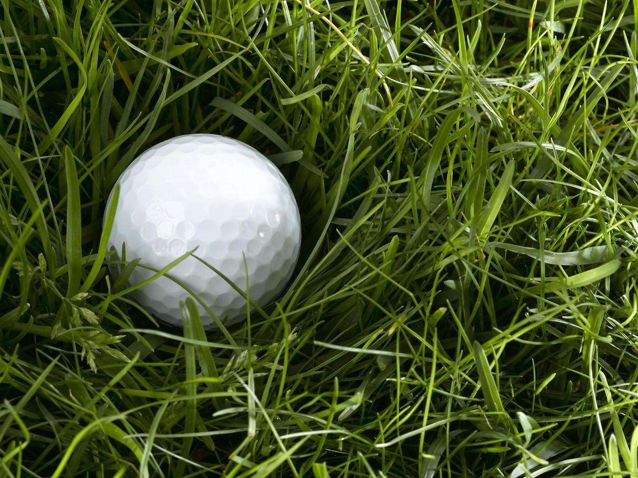 버뮤다그래스 (Bermudagrass)