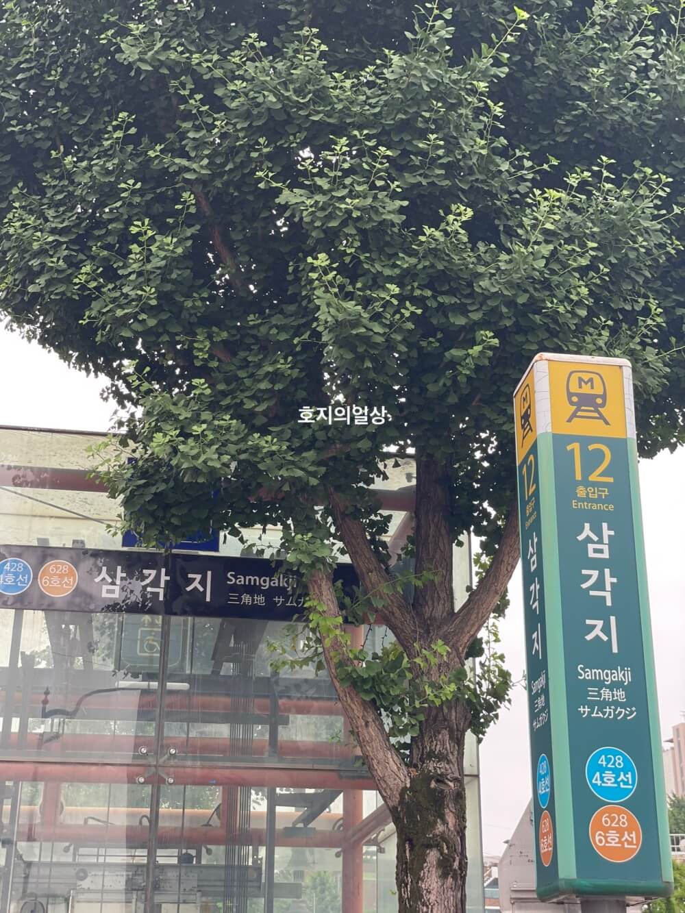 에바 알머슨 특별전 - 삼각지역 12번 출구 모습