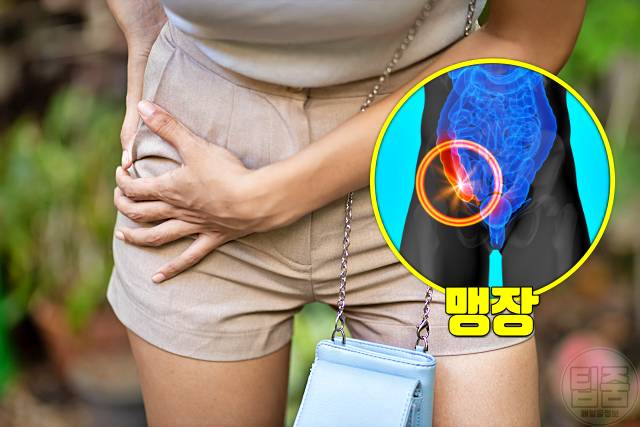 배에 가스가 차는 이유 배에 가스차서 아플때 맹장염