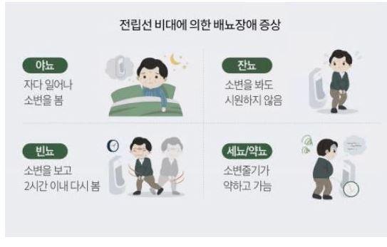 카리토 포텐 효능 효과