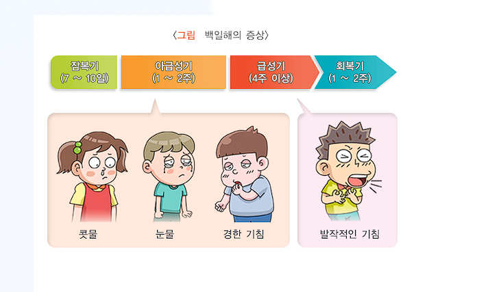 백일해 증상
