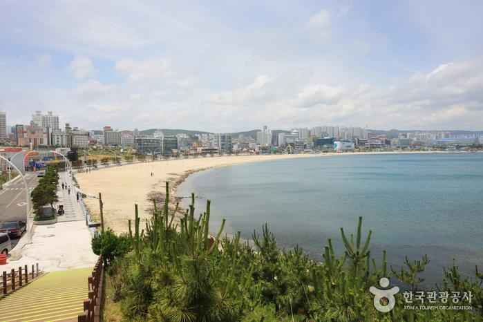 일산해수욕장 