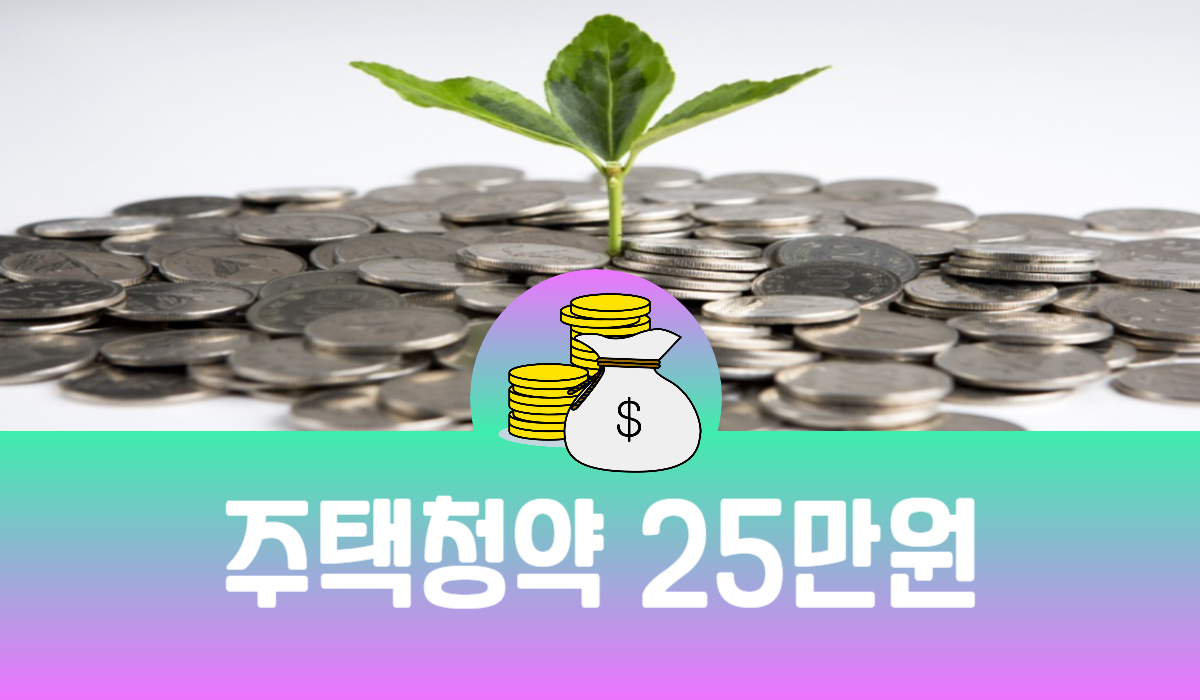 주택청약 25만원