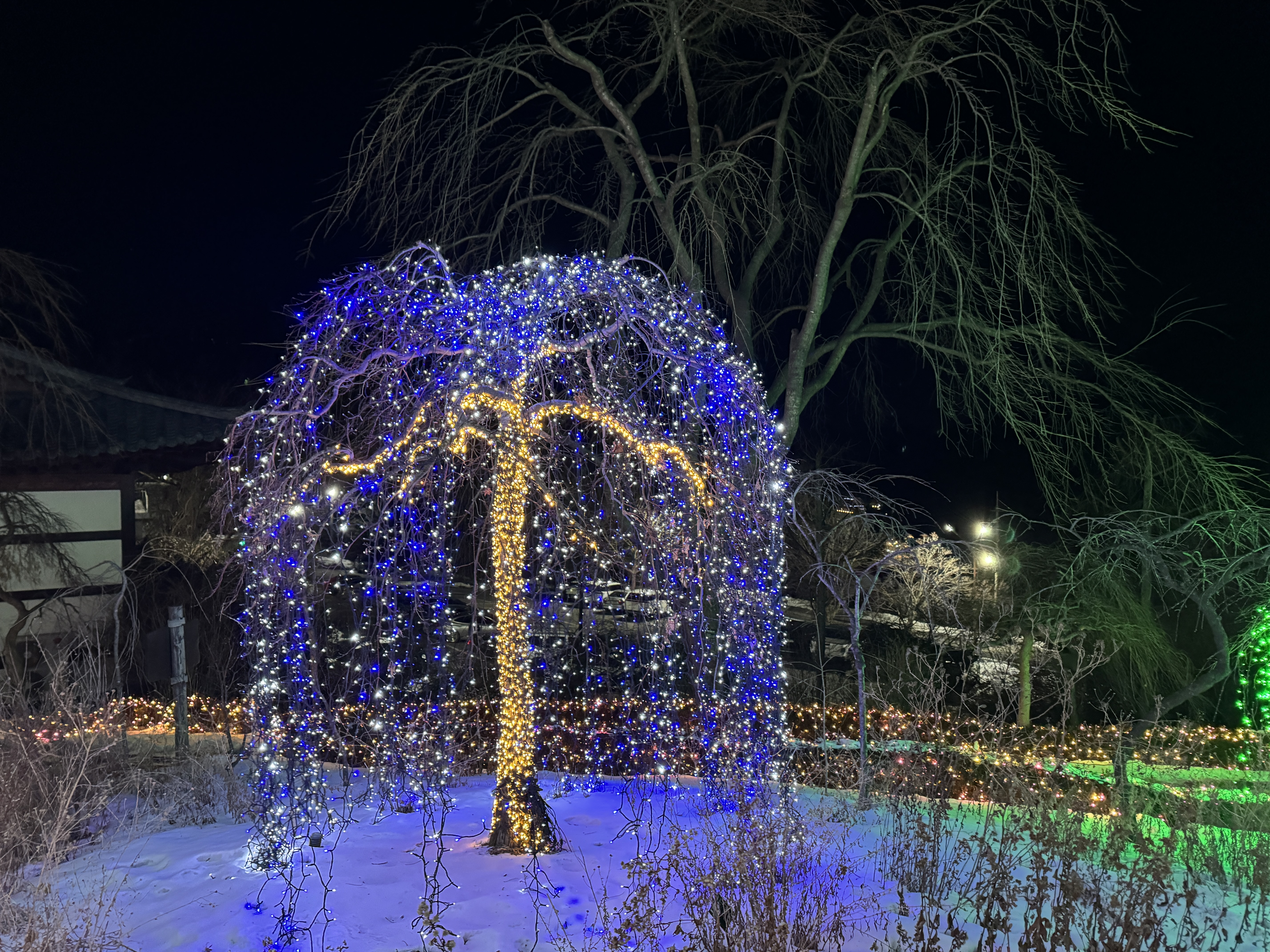아침고요수목원