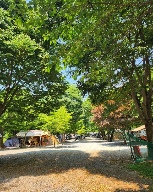 별빛캠핑장
