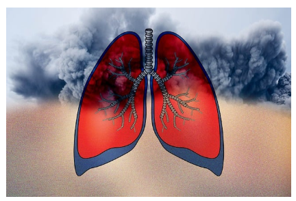 미세먼지를 예측하는 공공의 눈 &ndash; 국립환경과학원 대기오염 예보관