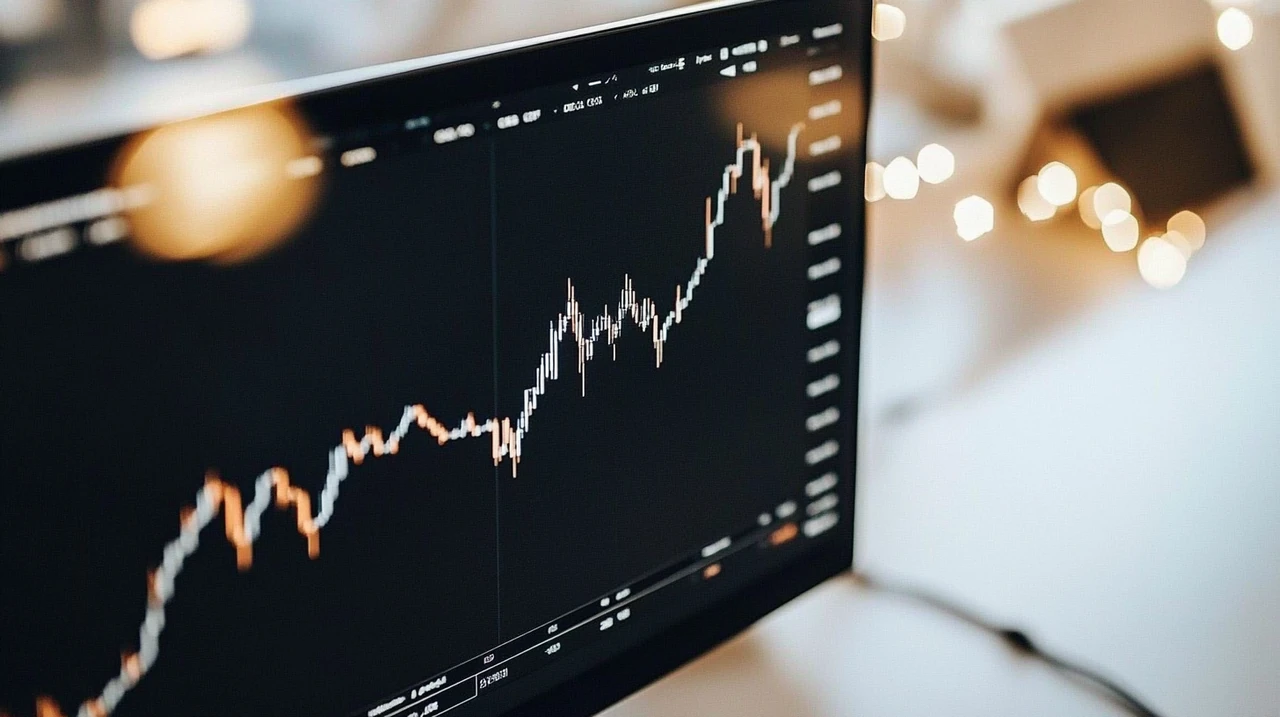 2025년 국내 상장 미국 월배당 ETF로 구성된 포트폴리오 자산 배분 분석, AI와 채권 등 테마별 ETF 종목과 분산 투자 전략, 투자자 포트폴리오 설계.