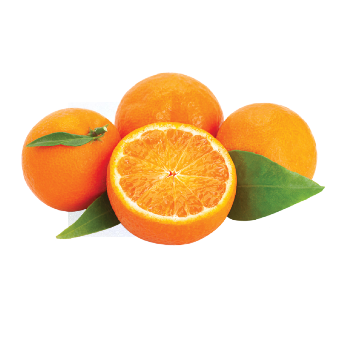 통풍과 관련된 사진입니다.