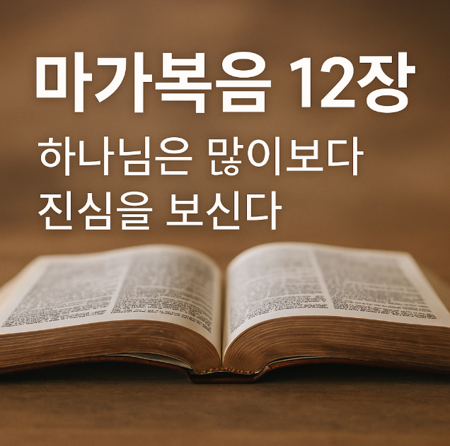 마가복음 12장 - 포도원 비유