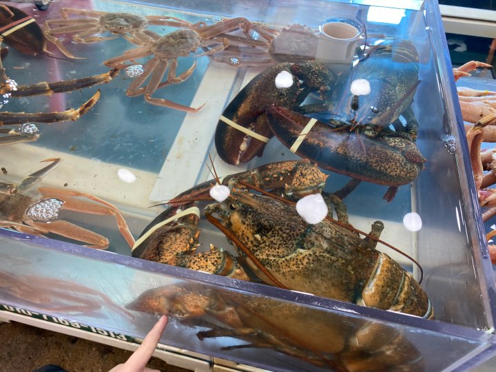수산시장-랍스터