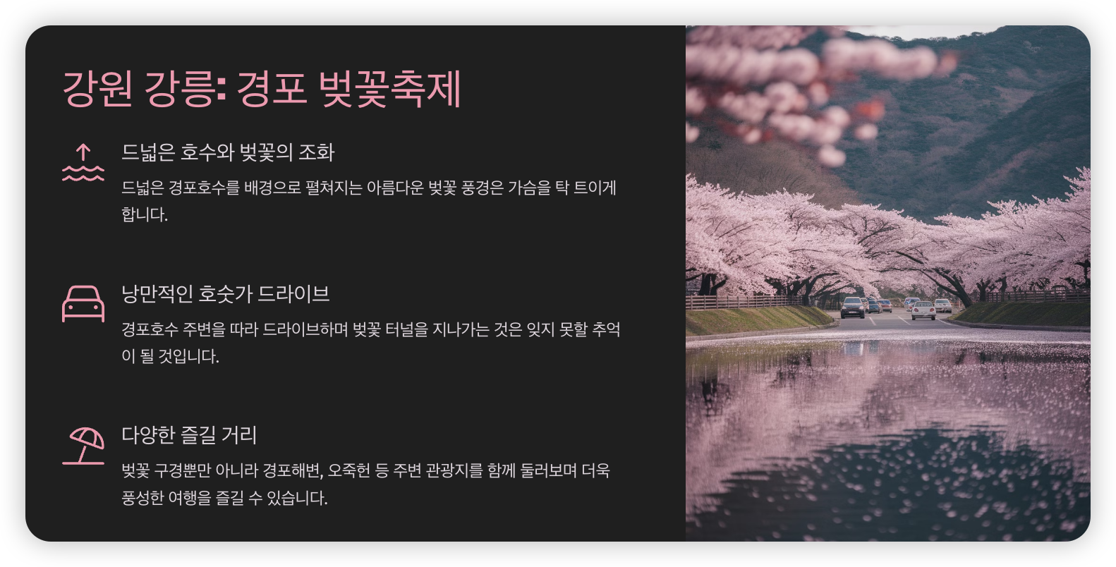 경포-벚꽃