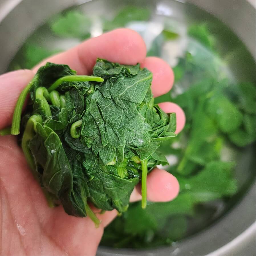 봄나물 종류 봄 제철음식 3월 제철나물 3월 봄나물 봄나물 효능 봄 제철 나물 두릅 튀김 봄 제철 나물 봄제철 나물요리 다래순 두부무침 봄제철나물 단백질과 함께~ 백종원 달래무침 만드는법 봄 제철나물 도시락반찬레시피 봄 제철 부추나물 무침~* #봄제철요리 #두릅나물볶음만들기 #두릅요리 봄철나물 종류 봄철 나물