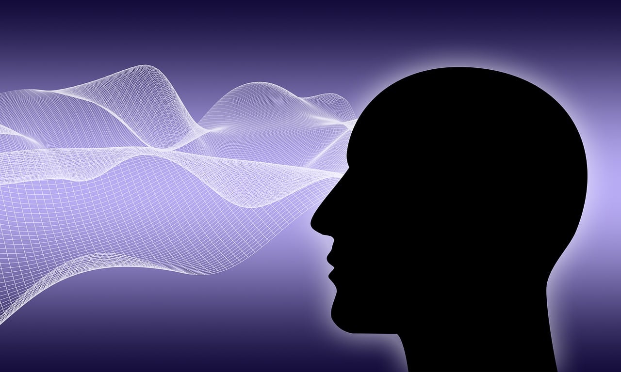 멀티태스킹이 뇌 건강