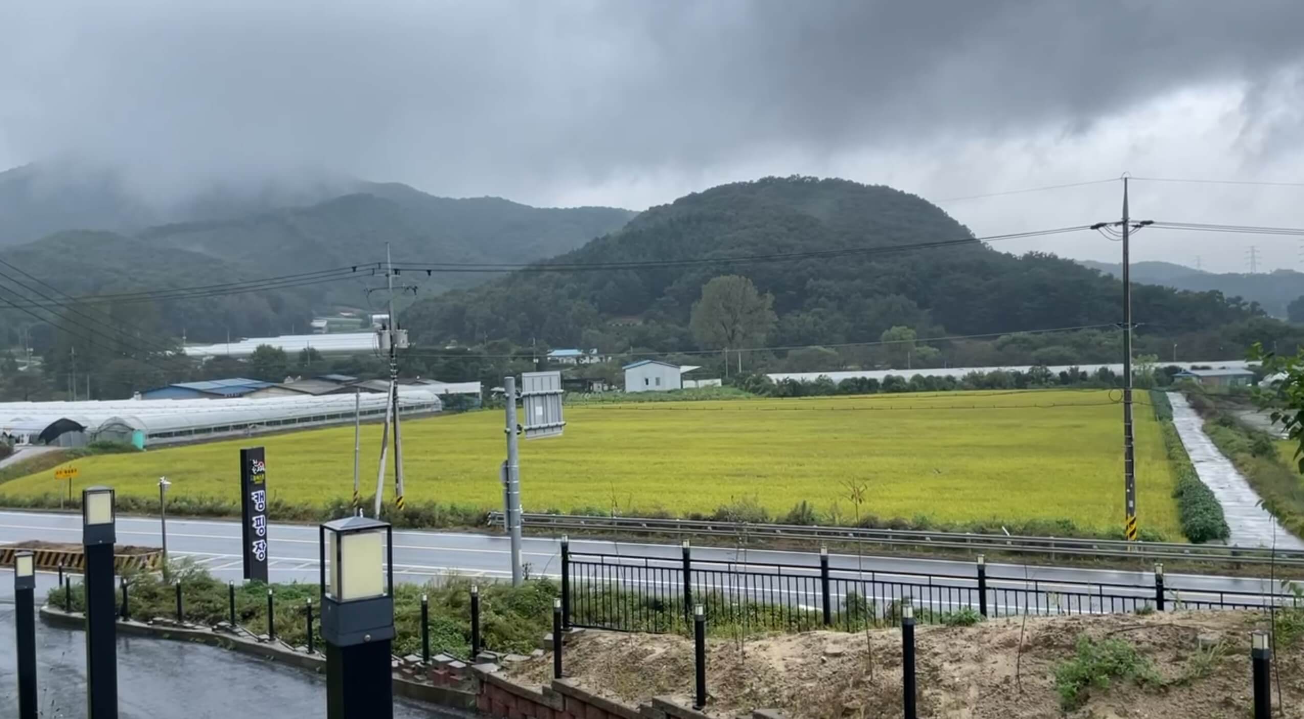 포레스트 캠핑장 분위기