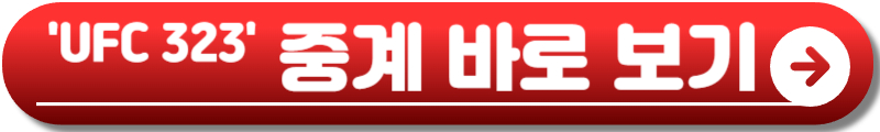 UFC 323