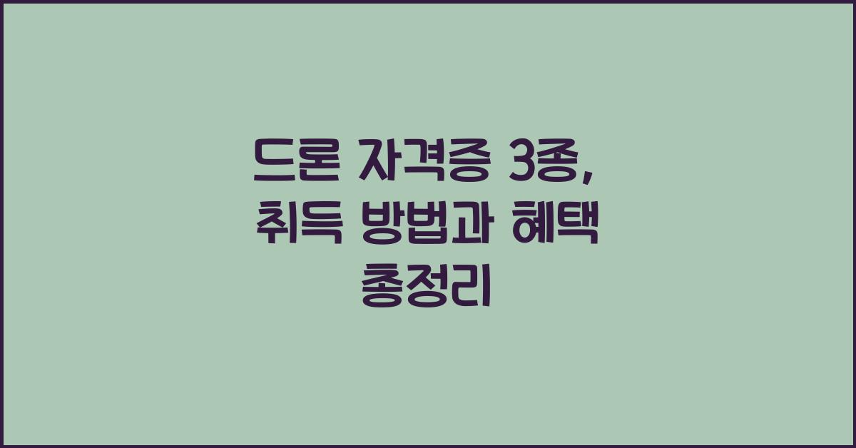 드론 자격증 3 종