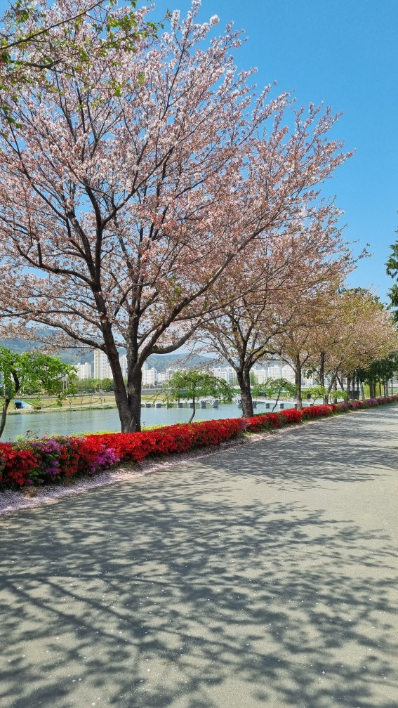 순천만국가정원 4월 튤립축제 포토존