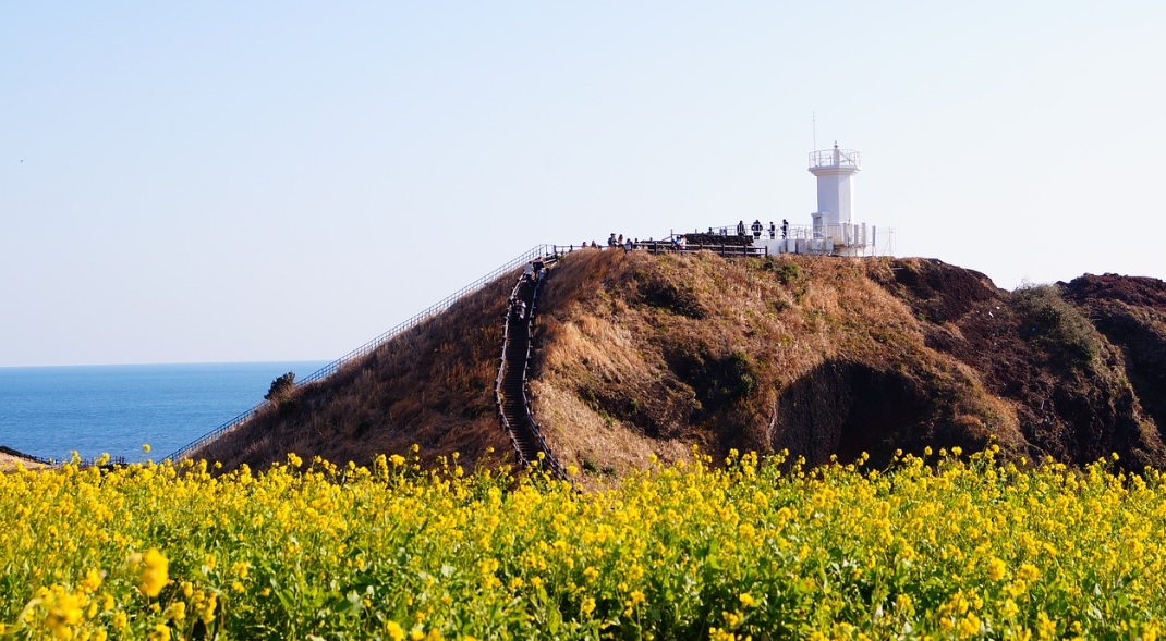 예산 별 여행 코스 관련 사진