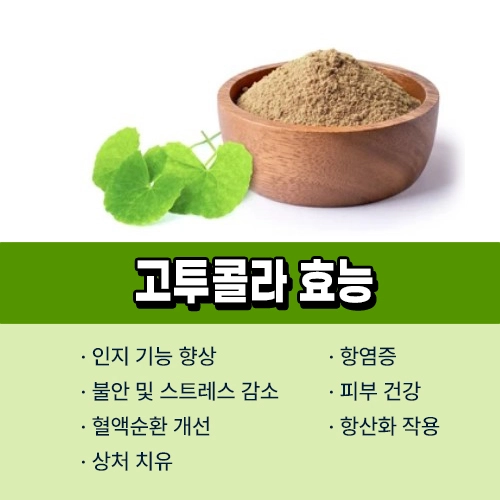 고투콜라 효능
