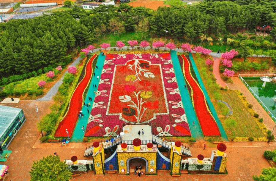 태안-세계튤립꽃박람회