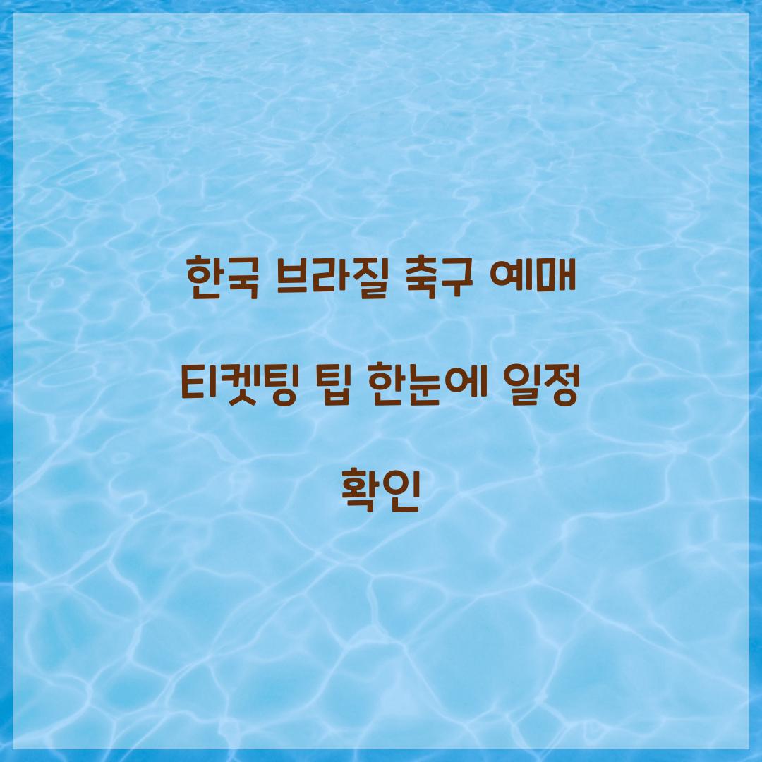 한국 브라질 축구 예매 티켓팅