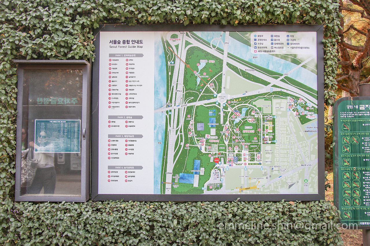 서울숲은 공원이지만 규모가 굉장 넓어 돌아다닐때 주의해서 다니셔야 해요.