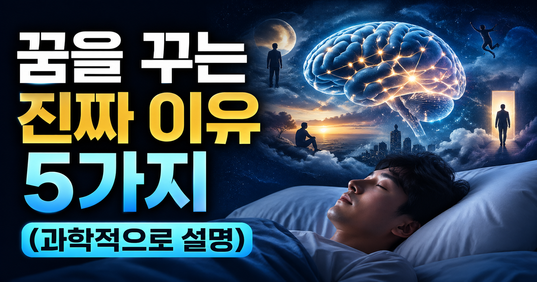 꿈을 꾸는 이유