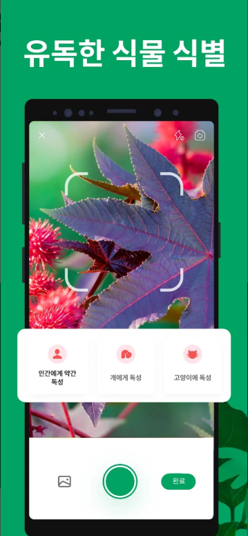 꽃 이름 검색, 꽃 이름 식별 앱