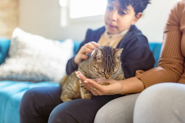 인기 고양이 이름