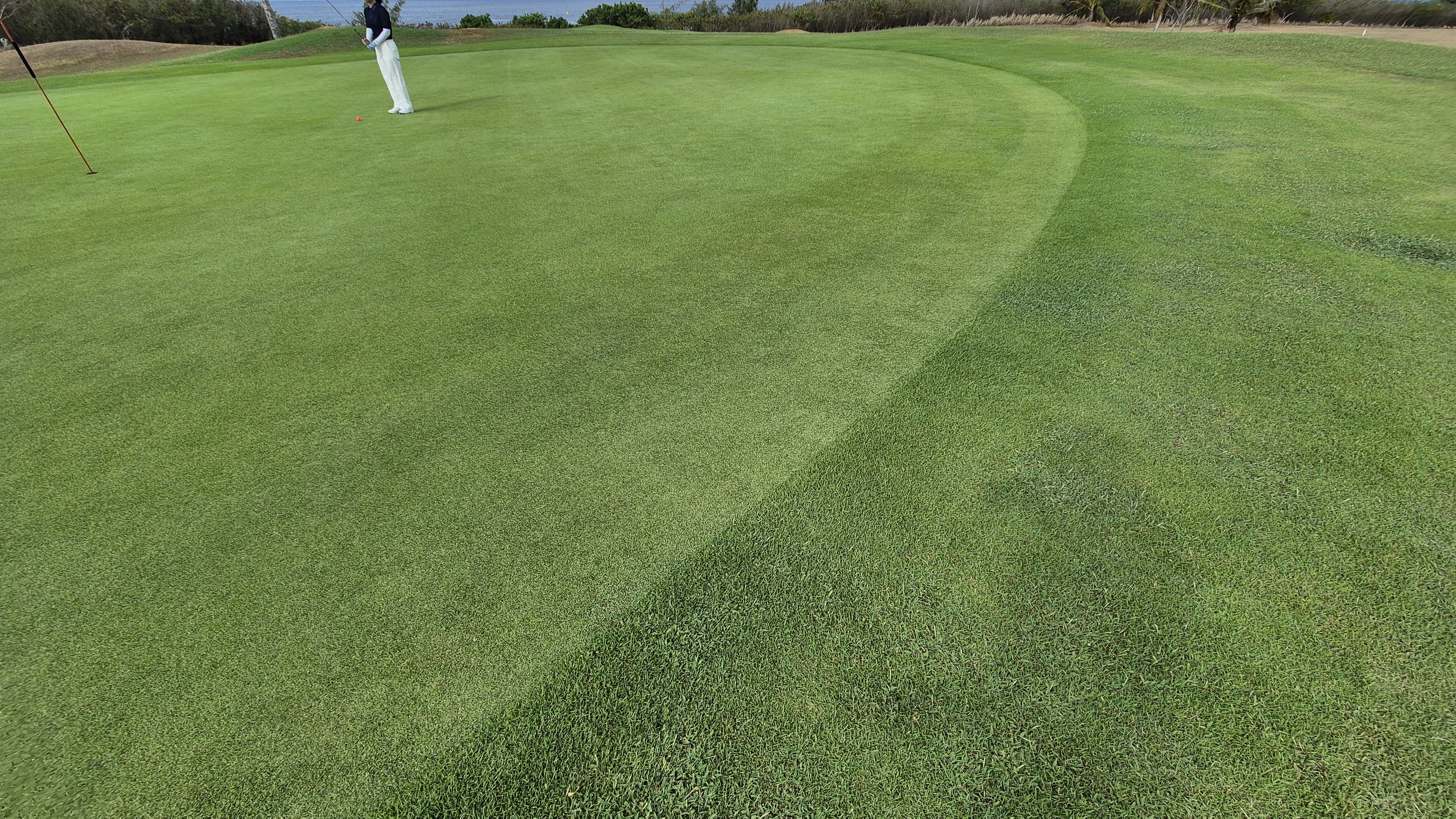 코랄오션cc 골프 라운드