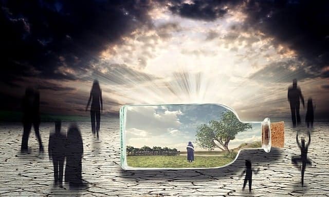 호르몬과 그 기능: 신체의 화학적 메신저