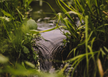 전기요금 할인 중복 받을 수 있나요? 가능한 조합 총정리