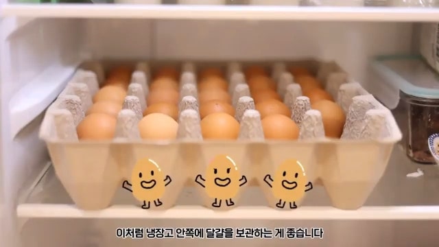 냉장고 계란 보관 방법